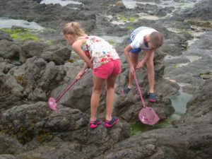 Normandy family friendly activities