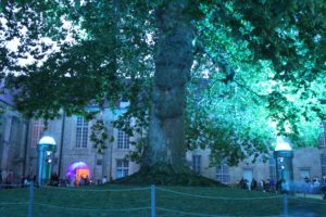 Bayeux liberty tree